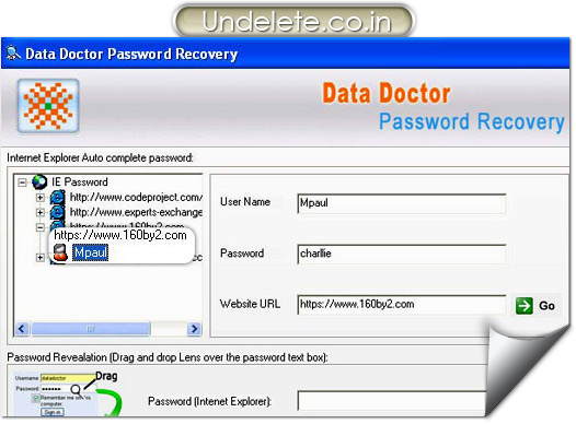 Internet Explorer Password Recovery